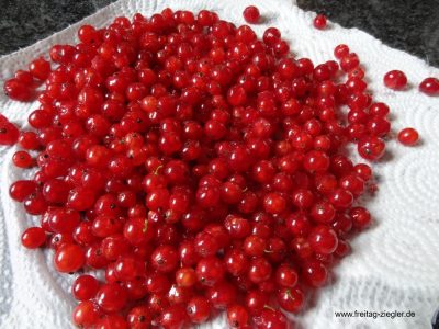 Rote Johannisbeeren