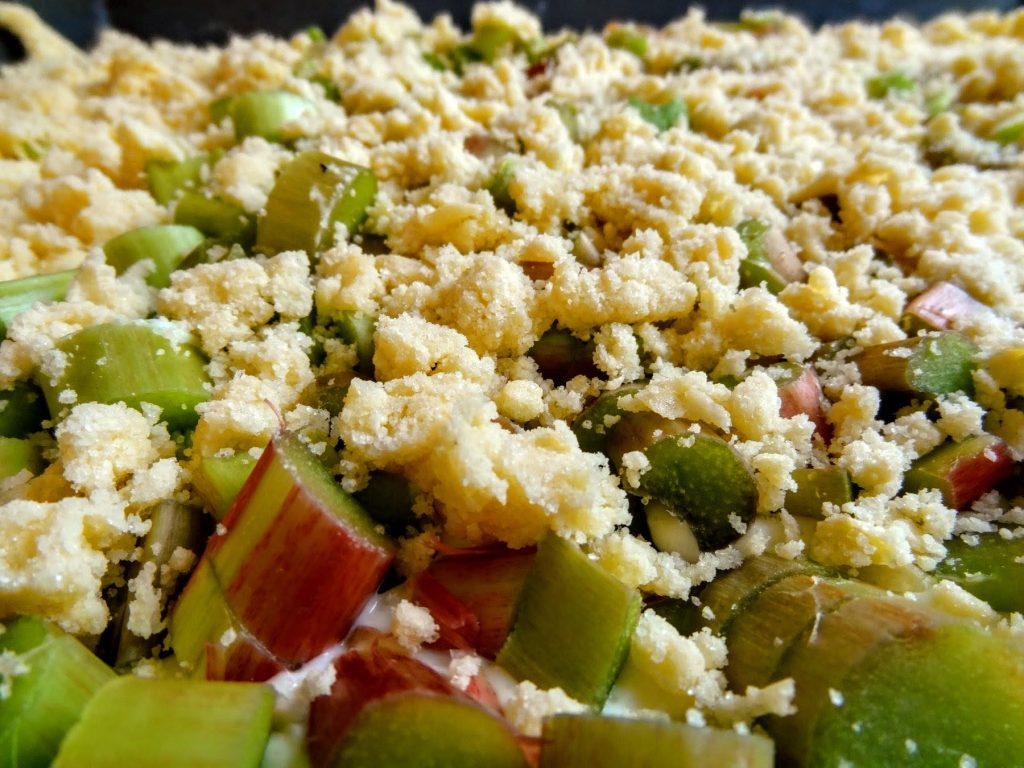 Rhabarberkuchen mit Quark und Streuseln