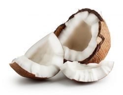 coconut-2675546_1280