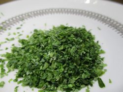 seaweed-2406020_1280