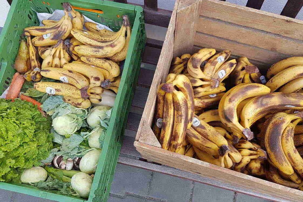 Kisten mit gerettetem Gemüse und Bananen